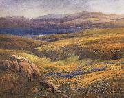 unknow artist Point Lobos in the Springtime oil painting picture wholesale